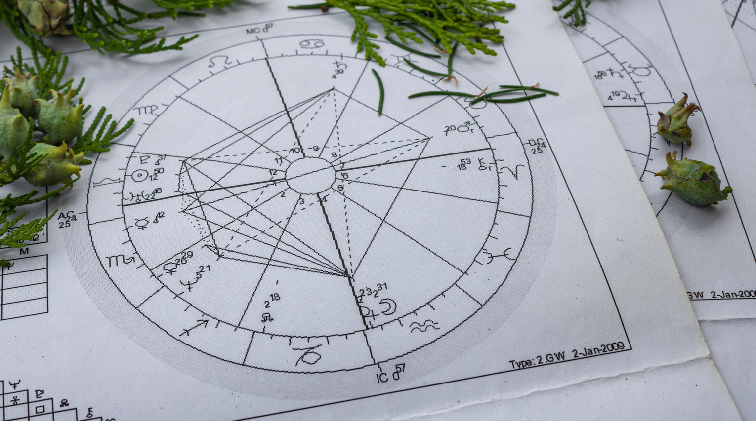 Printed astrology charts with cypress branches and cones